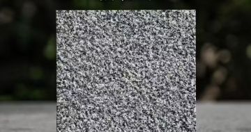 佳木斯 芝麻黑荔枝面