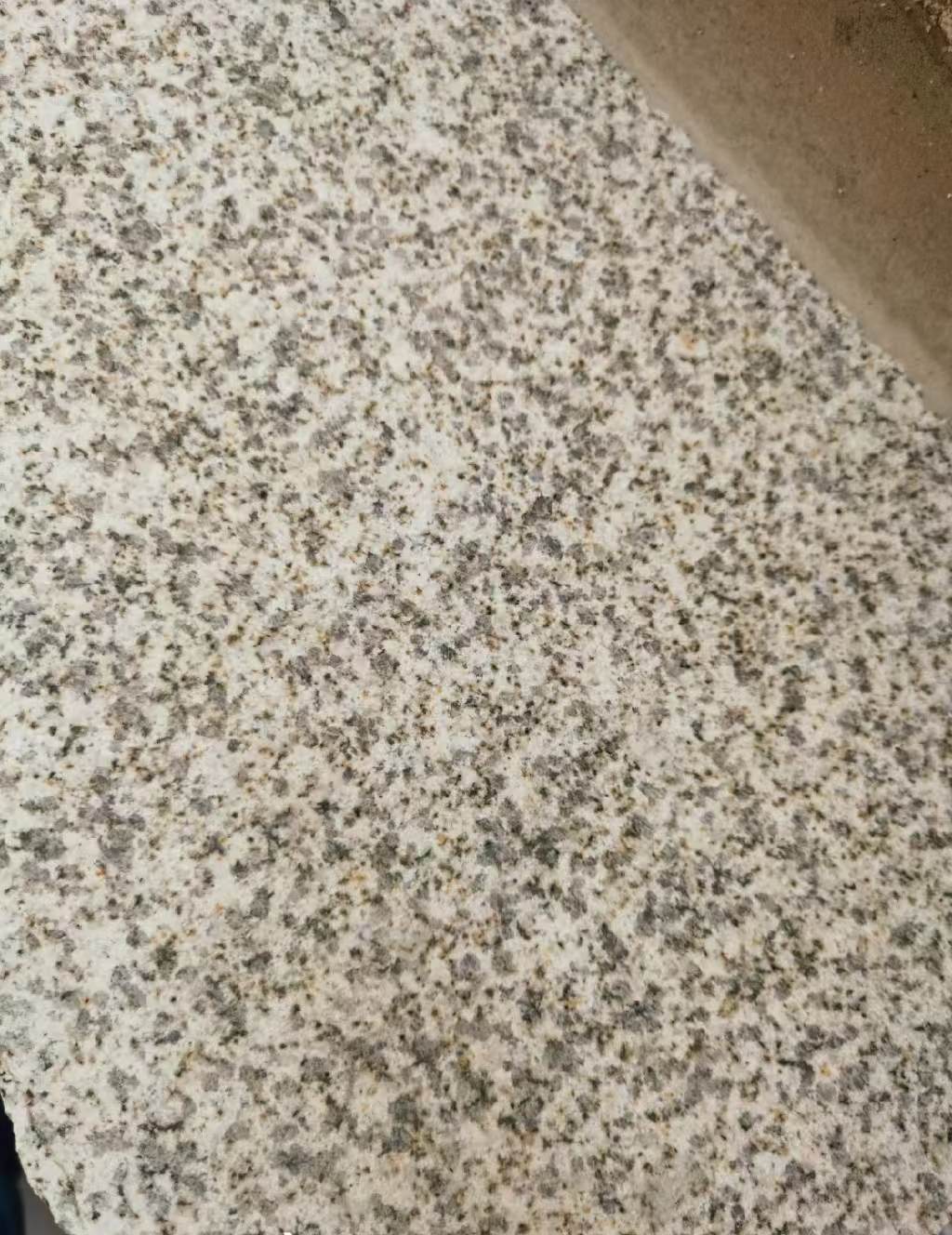 佳木斯 黄金麻中黄光面